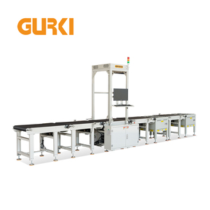 DWS Conveyor Sorting System