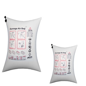 PP Woven Dunnage Air Bag