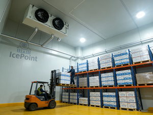 Cold Chain Logistics Solution for Industrial and Commercial Food Storage