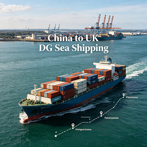 DG Shipment Sea Shipping LCL Trucking